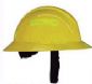 Wildland Helmets